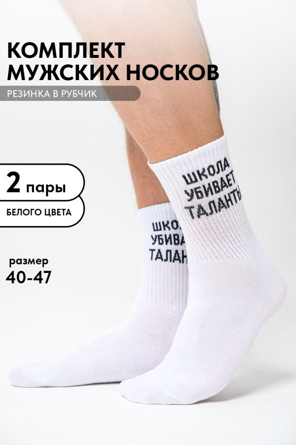 Носки мужские Талант набор 2 пары [белый]