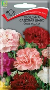 Гвоздика Шабо Смесь окрасок, 0,3 г (Поиск)