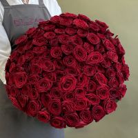 Розы красные 60 см (от 15шт.) АКЦИЯ!
