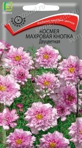 Космея Махровая кнопка Двуцветная, 0,1 г (Поиск)