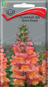 Львиный зев Оранж Вондер, 0,1 г (Поиск)