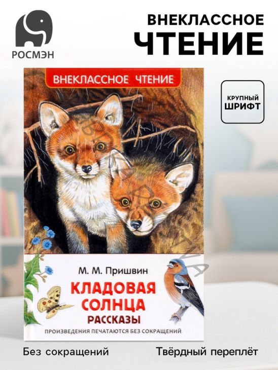 Книга детская для внеклассного чтения «Кладовая солнца», Пришвин М.