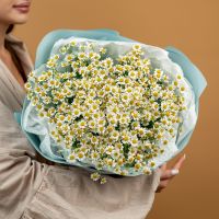 Букет из 11 матрикаре