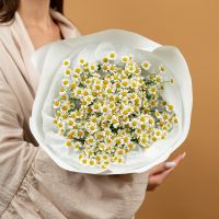 Букет из 7 матрикаре