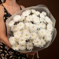 Букет из 9 хризантем  из сорта Алтай