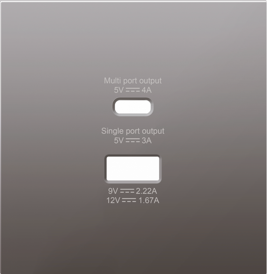 Накладка для розеток USB A+C, сталь, серия R98