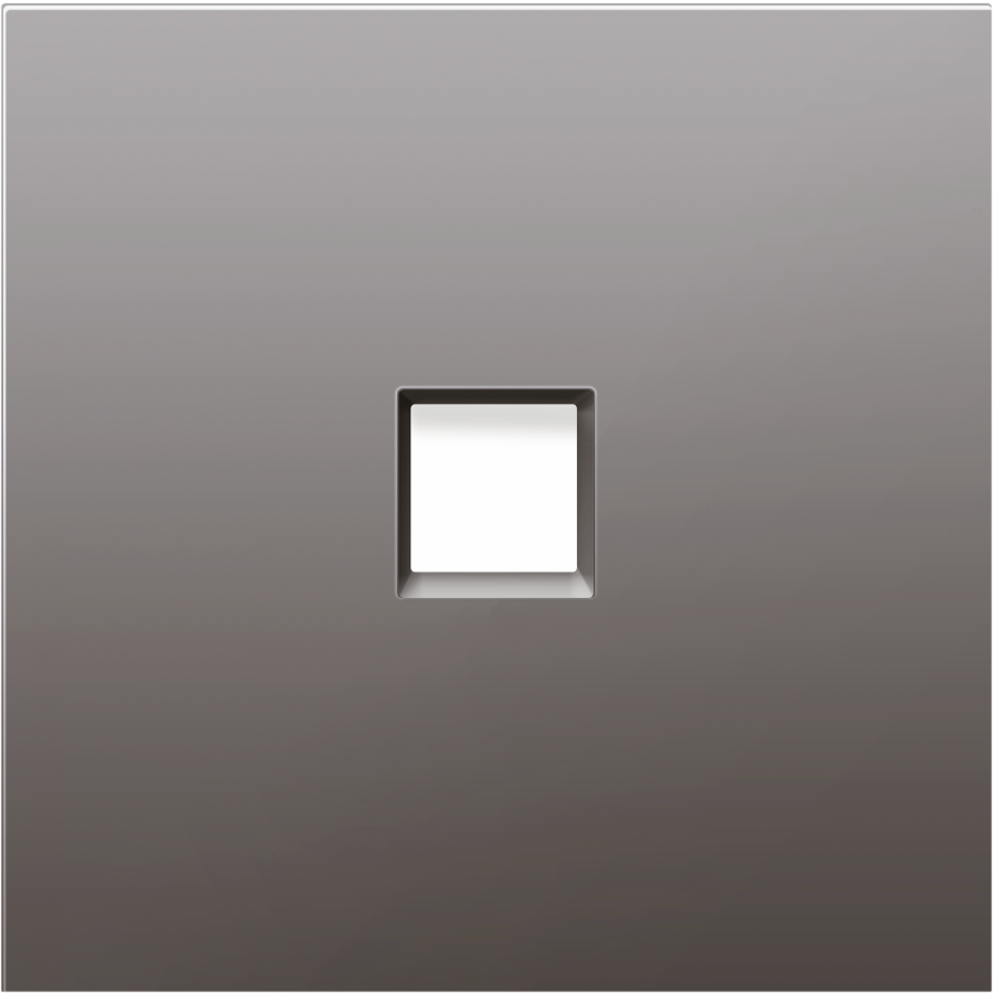 Накладка для розетки RJ45, 1-я, сталь, серия R98