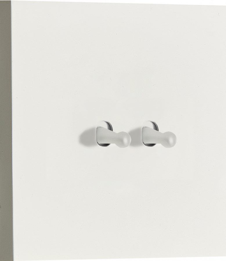 Переключатель на 2 тумблера, каплевидный, 10AX 250V, белый, серия N96