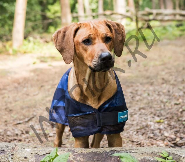 Охлаждающая попона Cool on Track 2.0 для собак