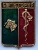 Значок герб Евпатория СССР