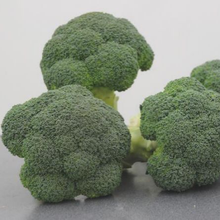 Капуста брокколи Корос F1, 100шт семян