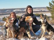 питомник хаски Ульяновск