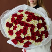 Красные и белые розы 60 см в оформлении (101 шт)