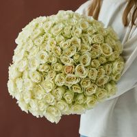 101 белая роза 60 см под ленту