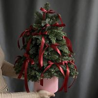 Ёлочка с лентами