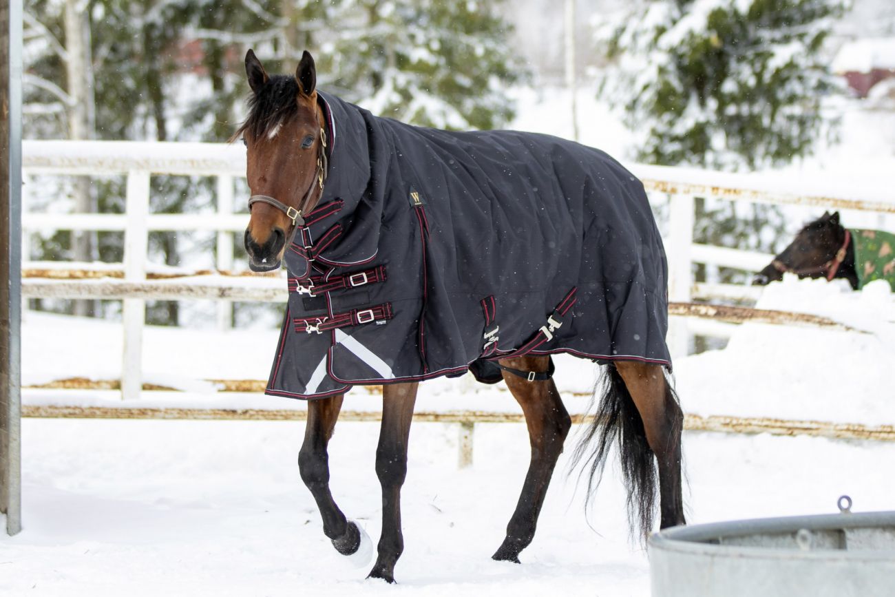 Непромокаемая попона с полной шеей "Horse Comfort" на утеплителе 150 г/м. 1200 ден. Суперкрепкая!