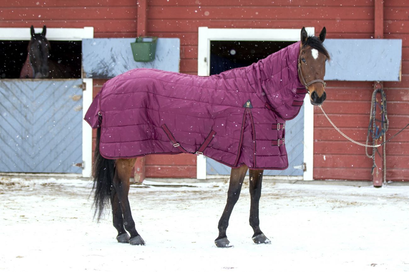 Денниковая попона с полной шеей "LENA", 420 ДЕН, наполнитель 300 гр, нейлоновая подкладка.