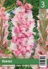 Gladiolus-Kavkaz-Caucasus-10-12-3-sht-Kolorlajn