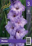 Гладиолус Милка Milka, 10/12, 3 шт., Колорлайн