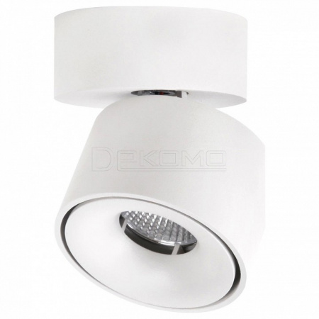 Спот Стамп CL558010N