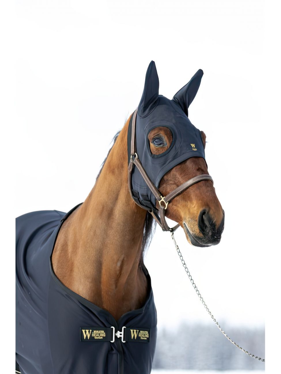 Маска рысачья. Wahlsten Healing Titanium