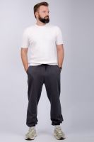 Брюки Тайлер [серые]