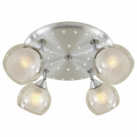 Спот Самба CL158142