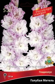 Гладиолус  Голубая Метель  Hyacintho Blizzard , "Российская селекция", 1 шт., (Поиск)