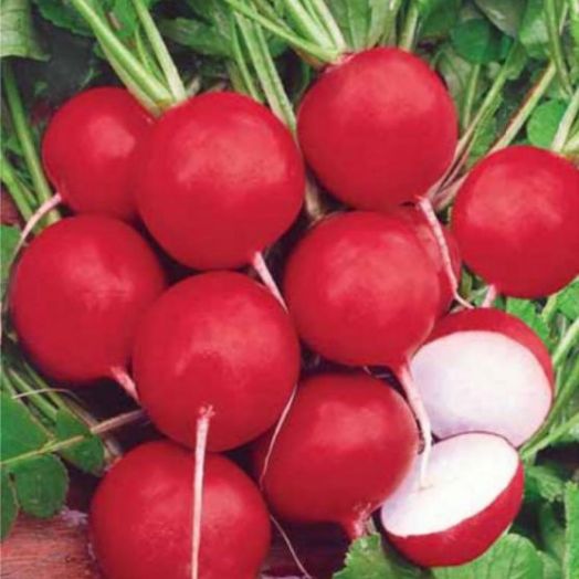 Редис Престо, 10г семян