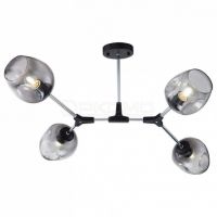 Накладной светильник Desi FR5006CL-04B