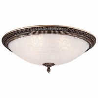 Накладной светильник Pascal C908-CL-04-R