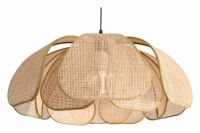 Подвесной светильник Cocoon FR5529PL-01B