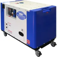ТСС DGW-300ES дизельный сварочный генератор в кожухе 017457