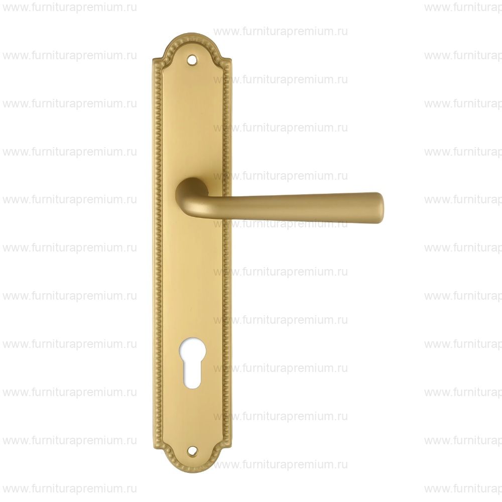 Ручка на планке Extreza Sandro 332 CYL PL03