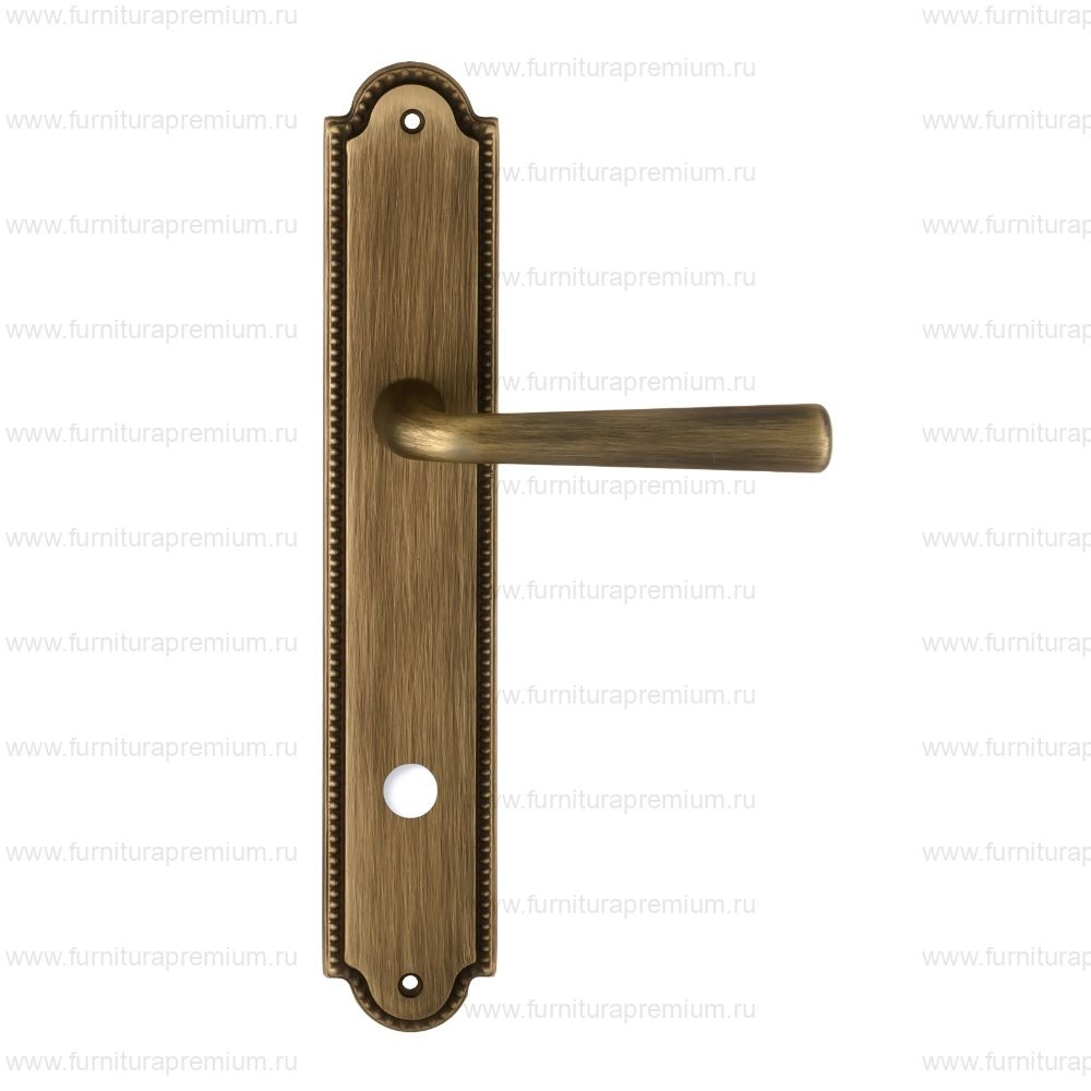 Ручка на планке Extreza Sandro 332 WC PL03