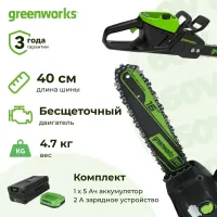 Аккумуляторная цепная пила Greenworks GD60CS25K5 (1 x 5 Ач, ЗУ) 2008907/2944907/2932007