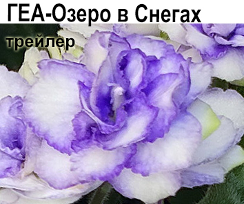 ГЕА-Озеро в Снегах (Галицкая)  НОВИНКА КАТАЛОГА