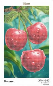ЗПН-040 Золотая Подкова. Вишня