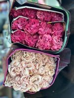 Пионовидная роза Hearts