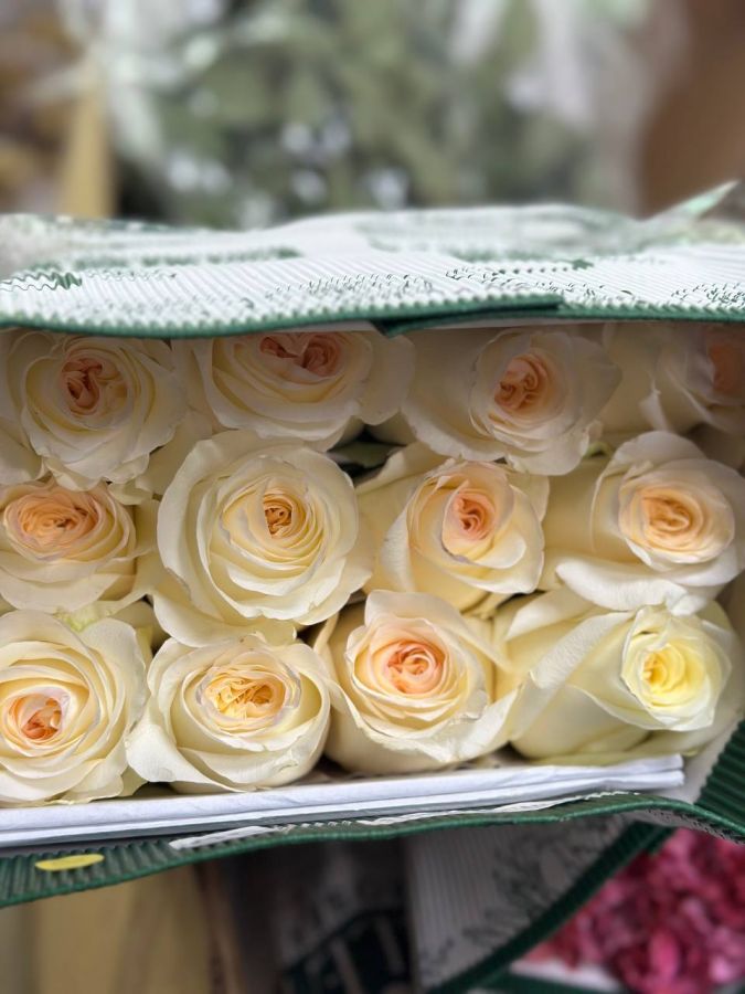 Роза Candlelight 60 см