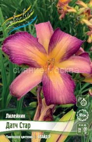 Лилейник Датч Стар 1 шт (Флора Селект)