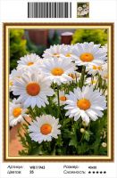 Алмазная мозаика на подрамнике WB11943