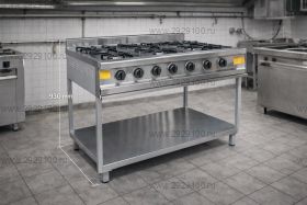 Плита газовая без духовки ПГ-6-01