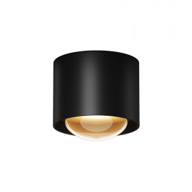 Уличный потолочный светильник Outdoor O498CL-L15B3K