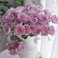 Либеллула (Libellula)