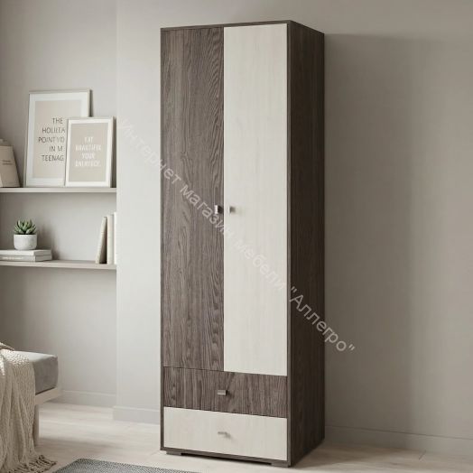 Шкаф 2-х дверный для одежды Омега 18