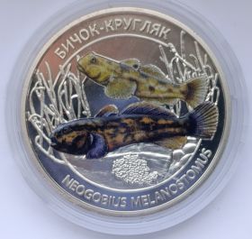 Круглый бычок Азовское море 5 гривен Украина 2025