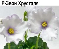 Р-Звон Хрусталя