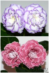 ЕН-Татьяна Ларина/ЕН-Малиновые Бусины