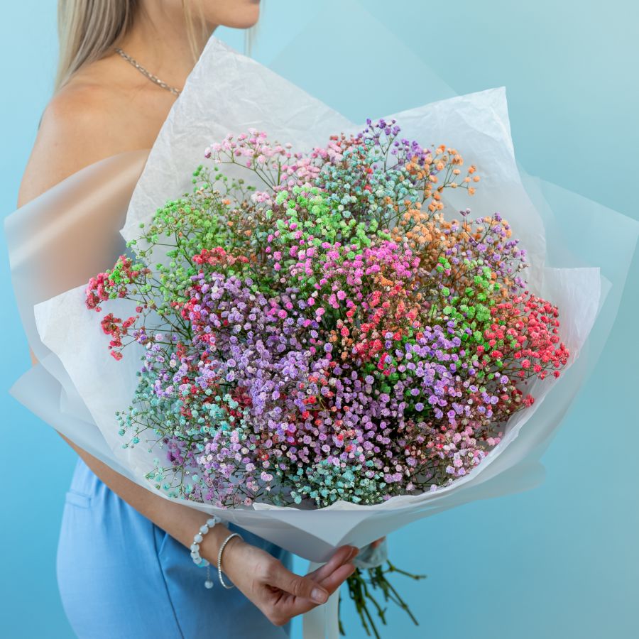 Гипсофила радужная 15 шт